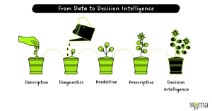From Data to Decision Intelligence