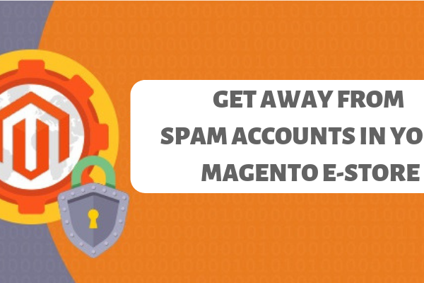 Get away from spam accounts in your magento e-store