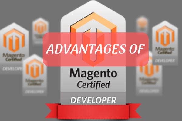 Advantages of Magento Certified Developer