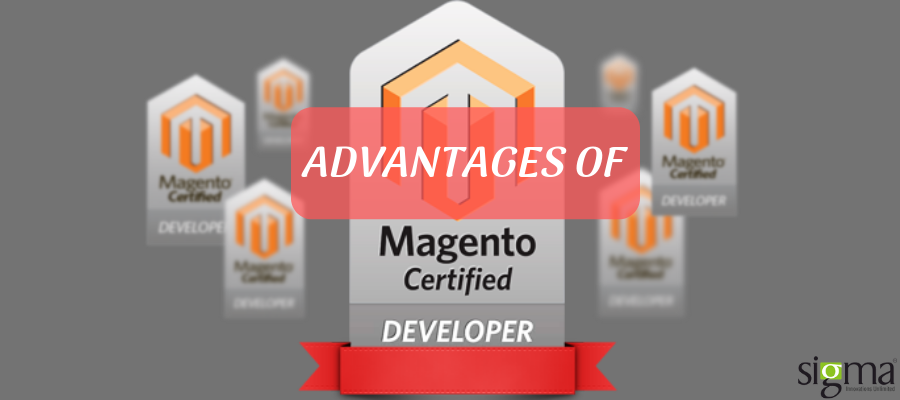 Advantages of Magento Certified Developer