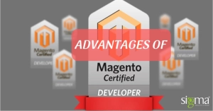 Advantages of Magento Certified Developers