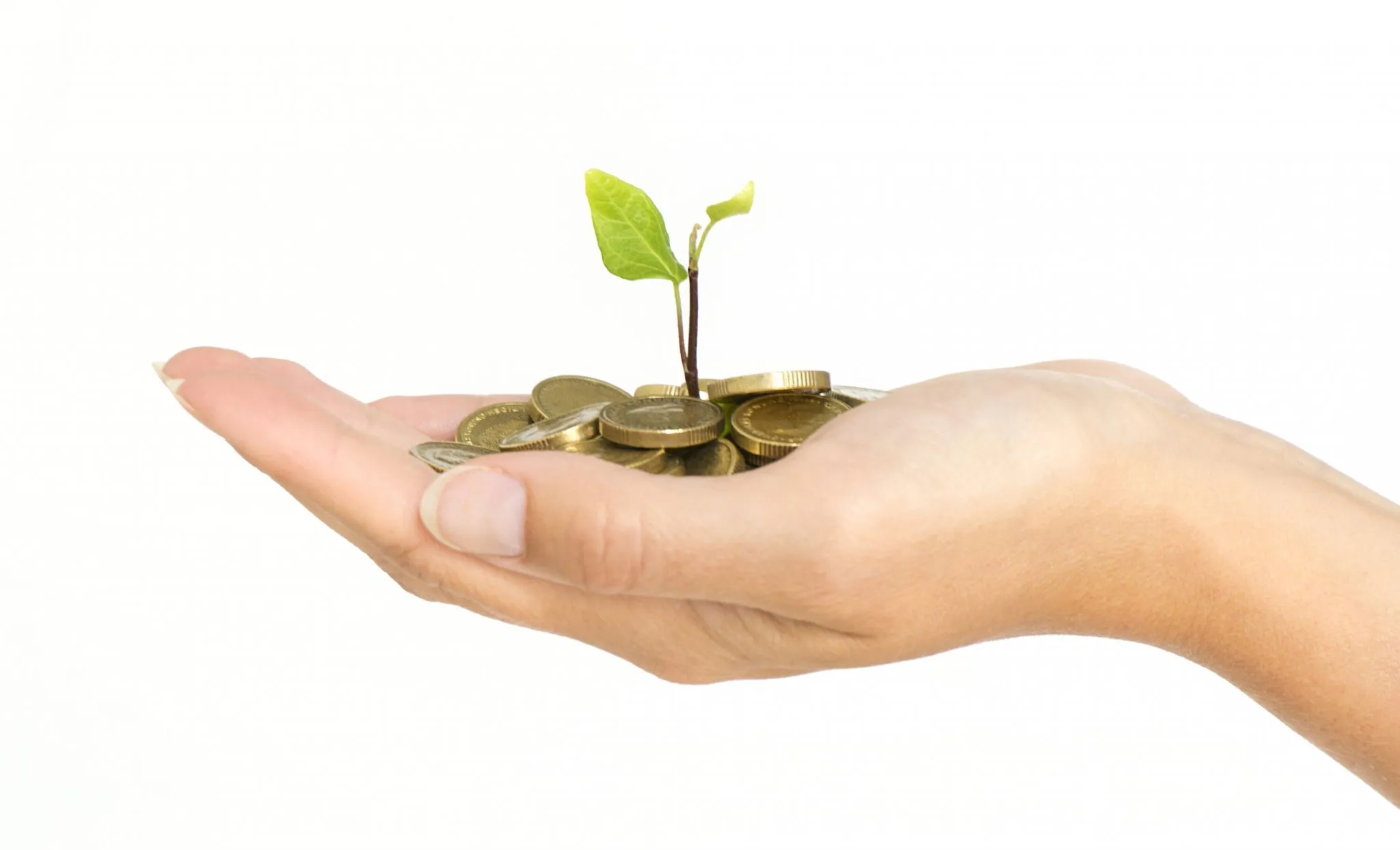 Micro Financing Management