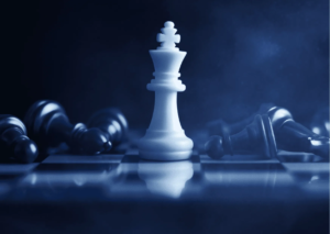 Chessbazaar-Case-studies