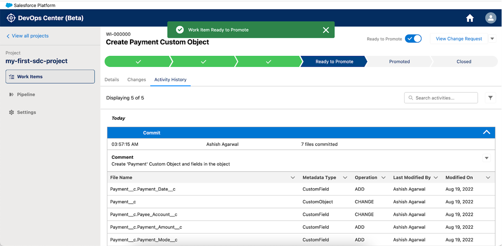 Create Payment Custom Object