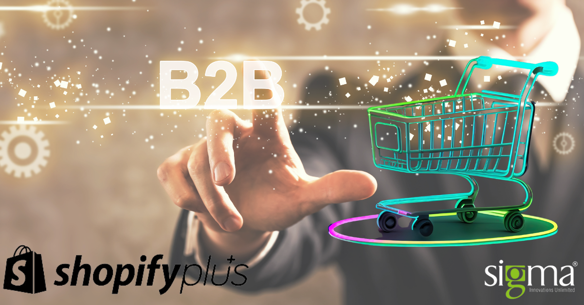 Unleashing the Power of B2B eCommerce on Shopify Plus