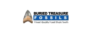 buried_treasure_fossils