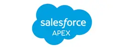 Salesforce APEX