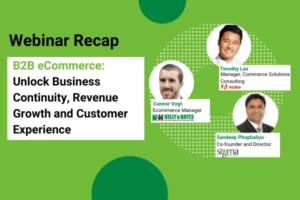 B2B ECommerce Webinar