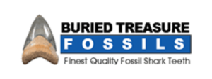 buried_treasure_fossils