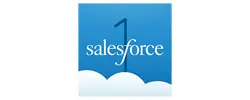 Salesforce One