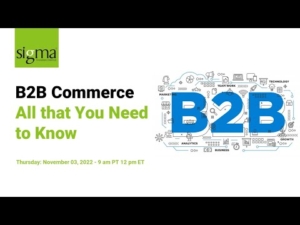webinar_b2b_ecommerce_all_that_you_need_to_know_youtube