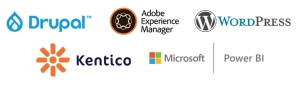 Web Content Management