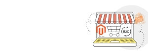 B2C Services