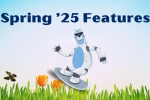 Salesforce Spring '25