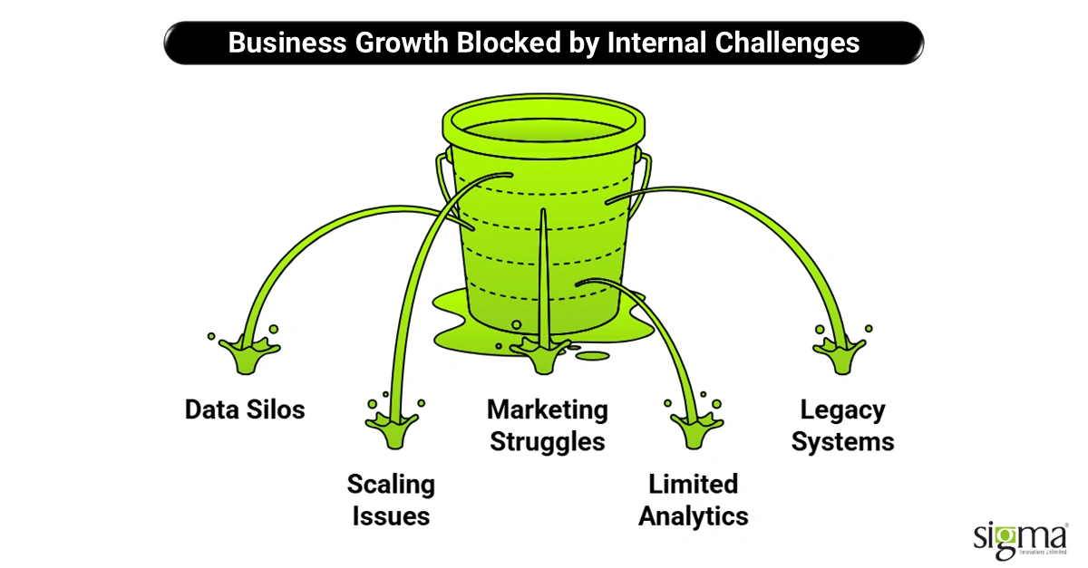 Business Growth Blocked by Internal Challenges