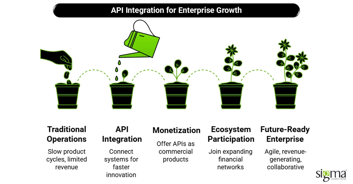 API Integration for Enterprise Growth