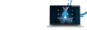 Custom Software Development Services