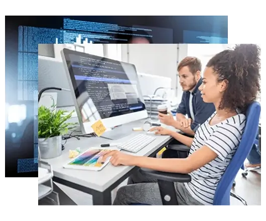 Custom Development Services Custom Development Services