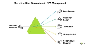 Unveiling Risk Dimensions in NPA Management