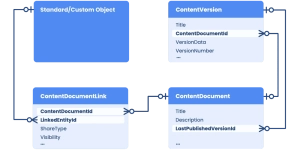 Content Document Data model