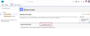 Activate Identity Provider