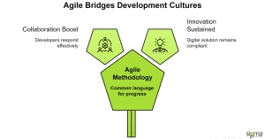 Agile Bridges Development Cultures