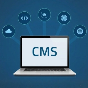 CMS Development Services