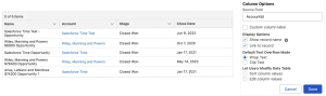 Data Table — Lookup Field Display