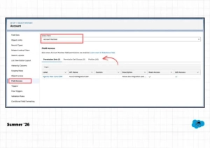 Field Access Tab in Object Manager
