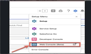 Web Console