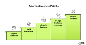 Achieving Salesforce Potential