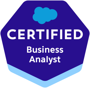 Business-Analyst