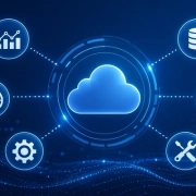 Salesforce Performance Issues Salesforce Performance Issues