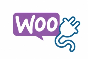 WooCommerce Plugin Development